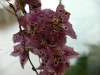 P1010242.JPG